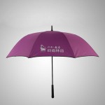 自動商務傘超大高爾夫傘加固雙層抗風戶外超大雨傘男士長柄雙人傘