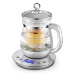 生活元素燕窩壺?zé)踔讯喙δ莛B(yǎng)生壺自動(dòng)加厚玻璃家用燒水壺煮茶器