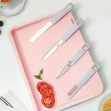 多功能雙面砧板含水果刀、鋸齒刀、輔食剪、水果刨刀等四個配件