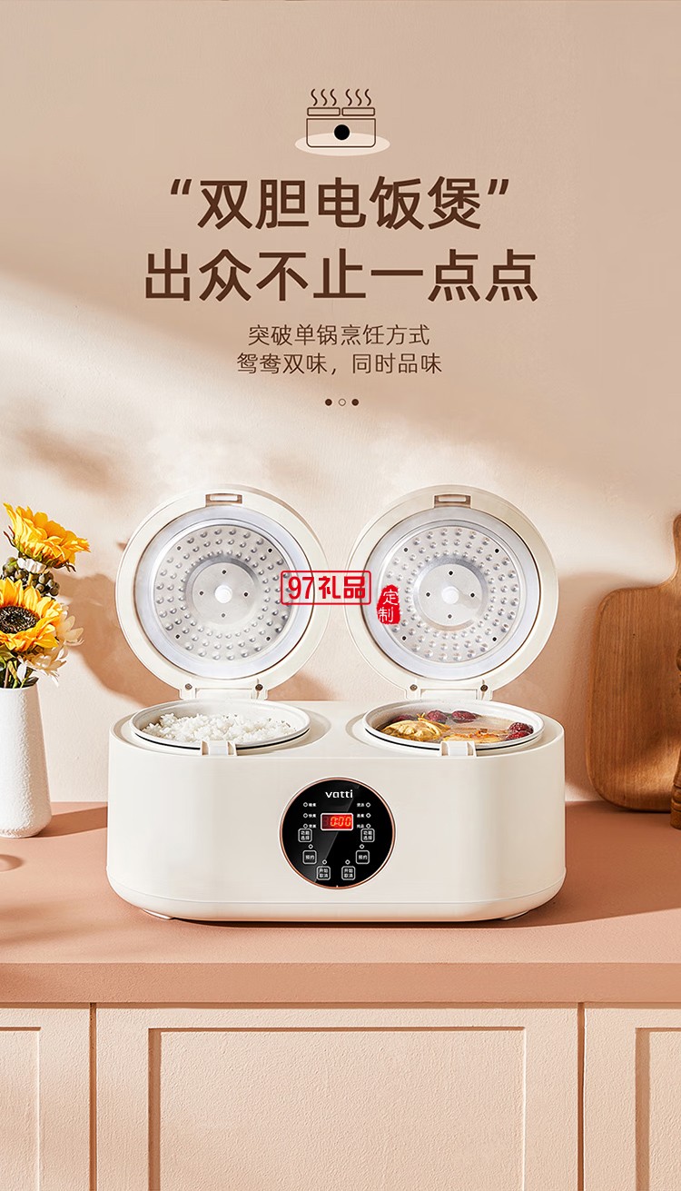 華帝智能雙膽電飯煲VFB019C